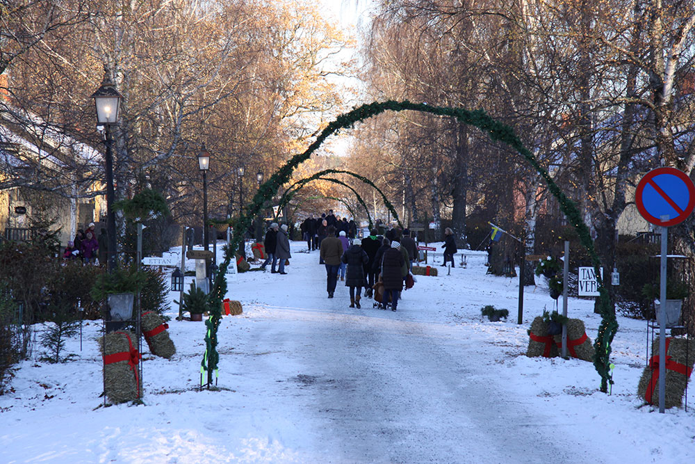 Vintergatan i Hällekis